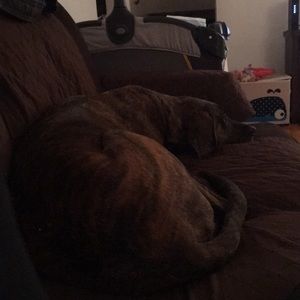 Meet your Posher, Julie